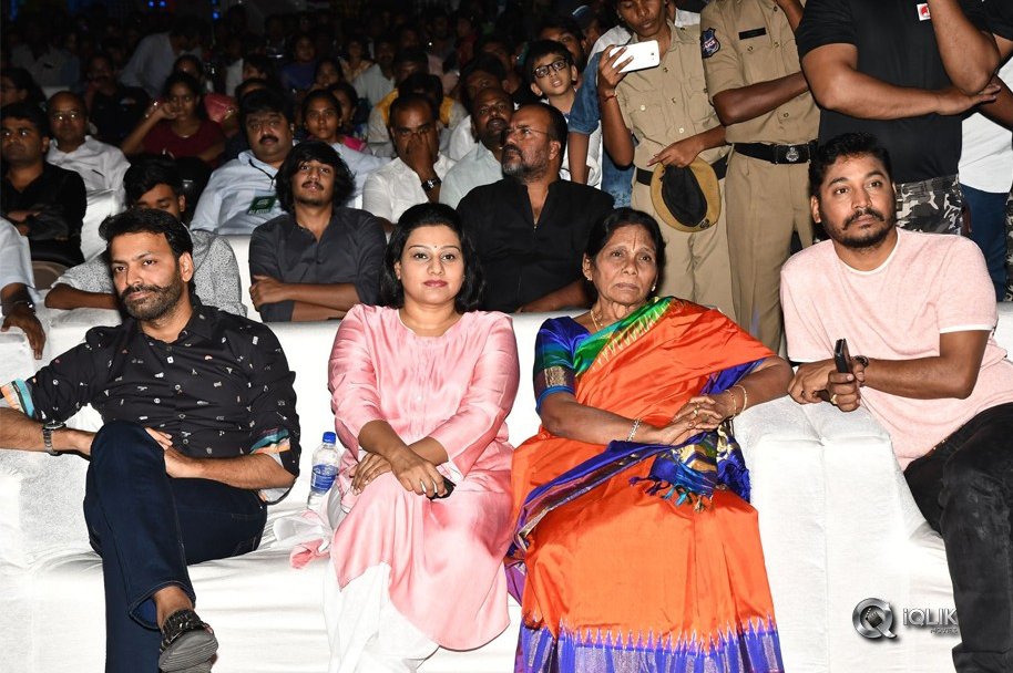 Naa-Peru-Surya-Naa-Illu-India-Pre-Release-Event-Photos